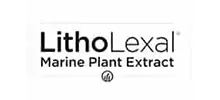 Litho lexal